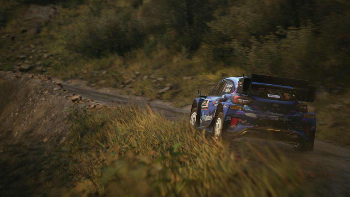 wrc-ford14.png.adapt.crop191x100.628p