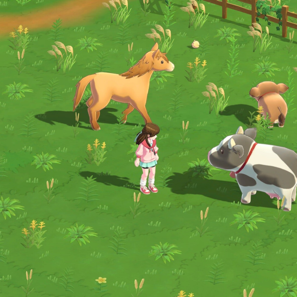 Harvest Moon HSH 2