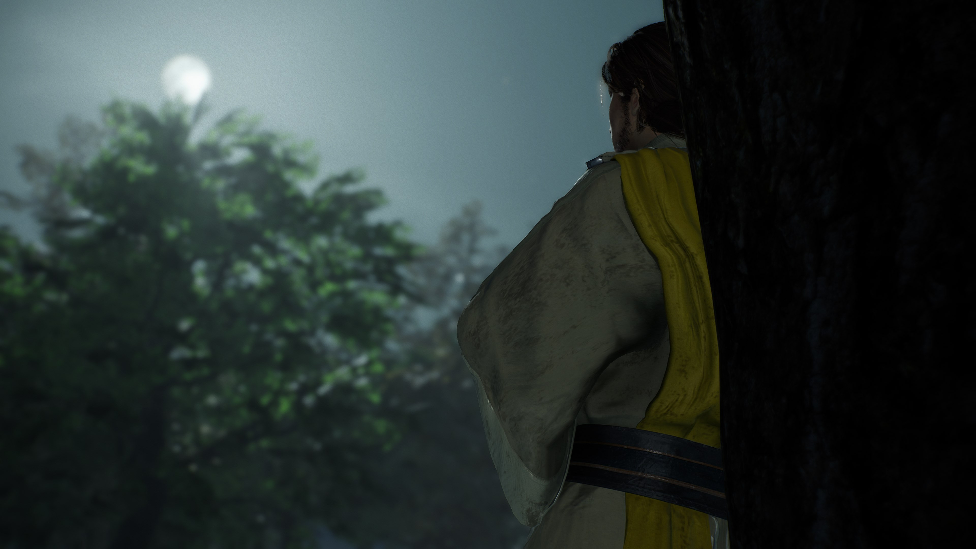 Dynasty Warriors Origins Visions de Quatre Héros 1